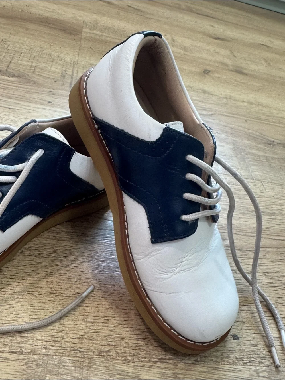 Elephantito White and Navy Two-Tone Men's Derby Shoes